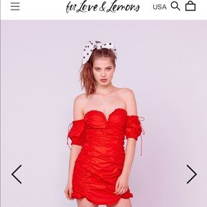 For love and lemons Jackson shirred mini dress Med